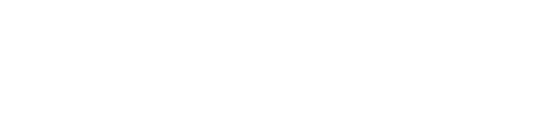 Britannia Safety Solutions